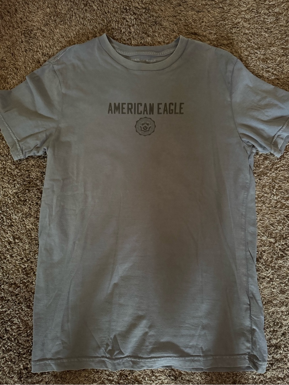 American Eagle Outfitters Men's Short Sleeve Crew Neck Tee in Light Gray